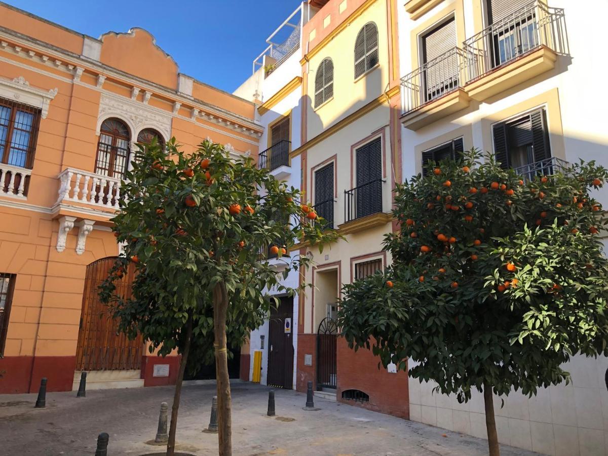Casa vacanze Unique House - Private Spa&pool -stayinseville *